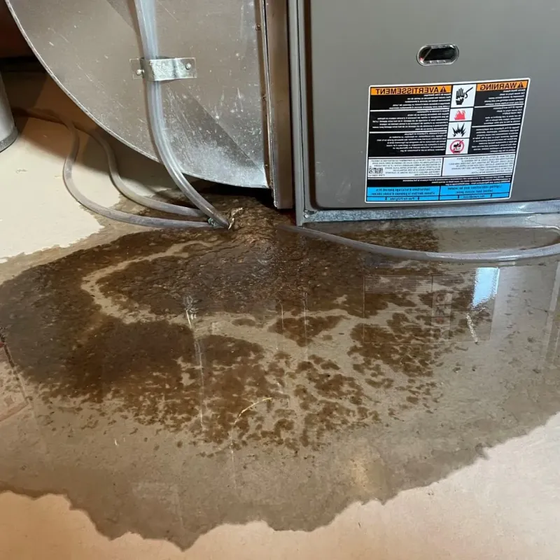 Pipe Burst and Leak Restoration in Elk Creek, KY