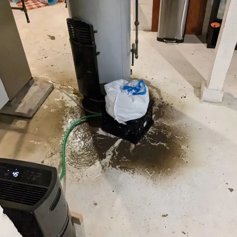 Sewage Backup Cleanup Service in Elk Creek, KY